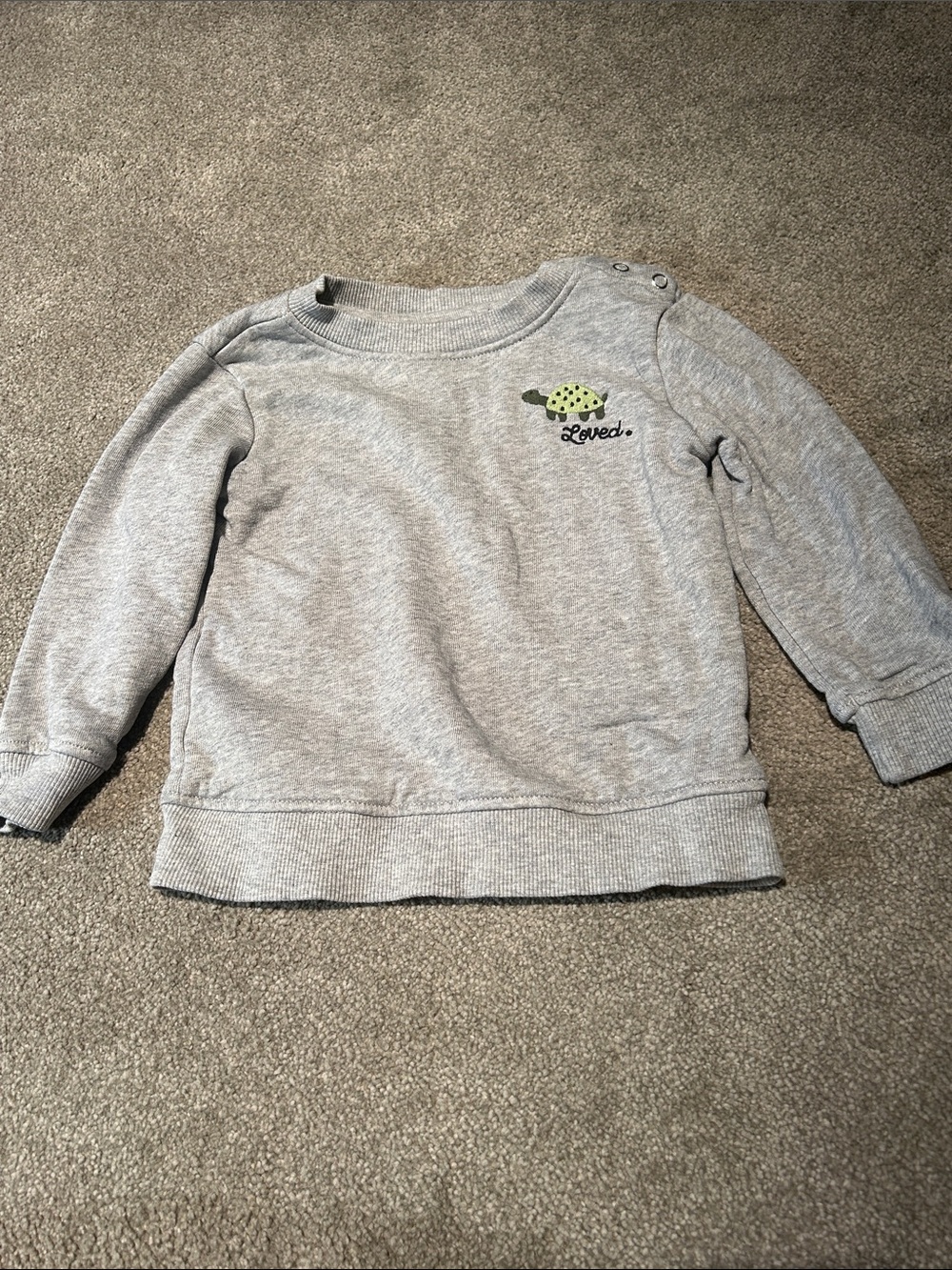 Hanna Andersson Light Gray Sweatshirt with Green Turtle Patch